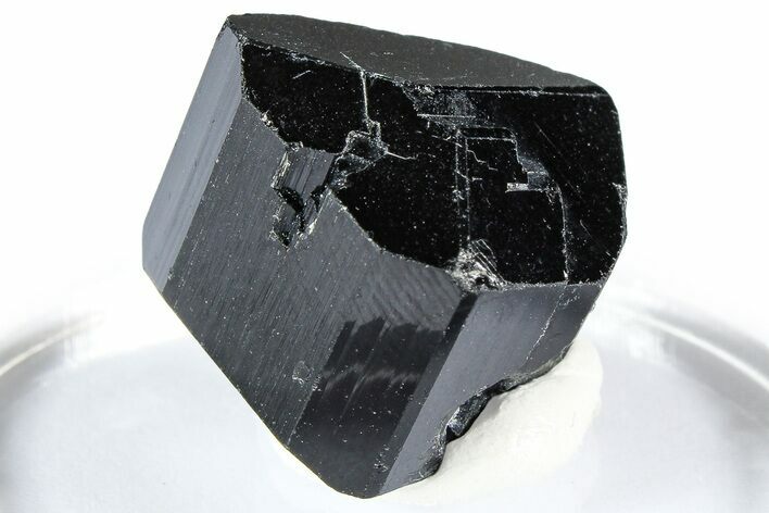 Lustrous Black Tourmaline (Schorl) Crystal - Namibia #361658